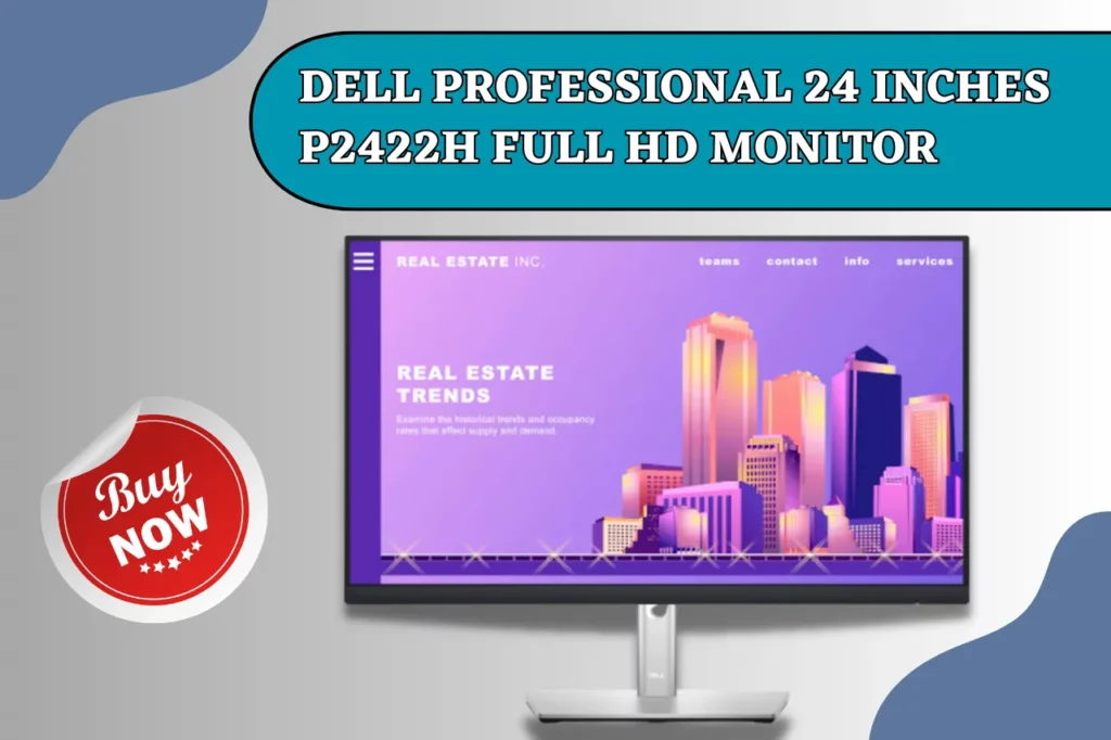 Dell Professional 24 inches P2422H Full HD Monitor